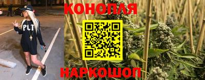 стаф Нарткала