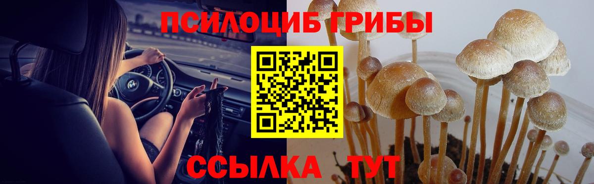 Галлюциногенные грибы Cubensis  Галлюциногенные грибы Psilocybine cubensis  Вход с VPN  Узловая 